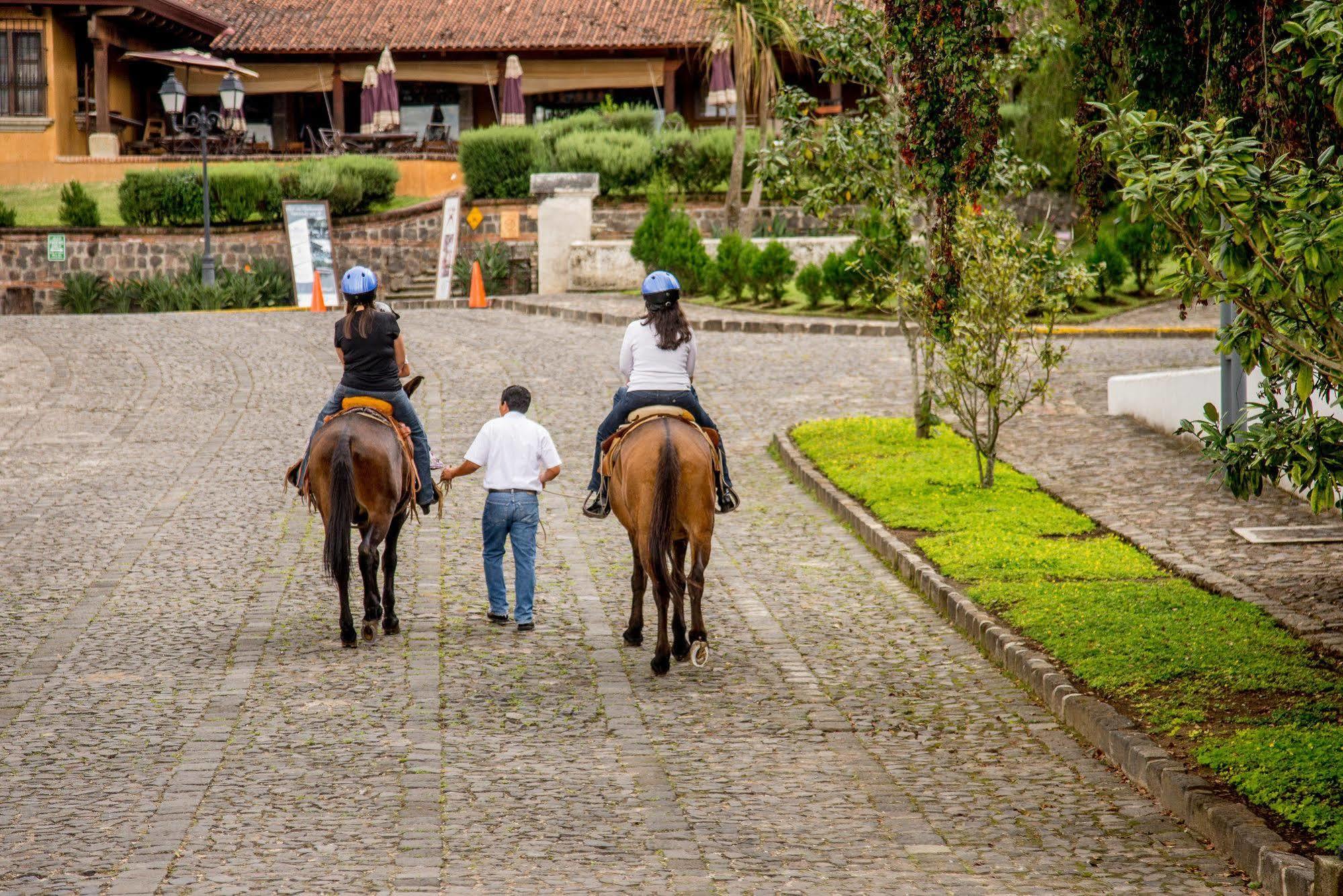 Filadelfia Coffee Resort & Tour Jocotenango Ngoại thất bức ảnh
