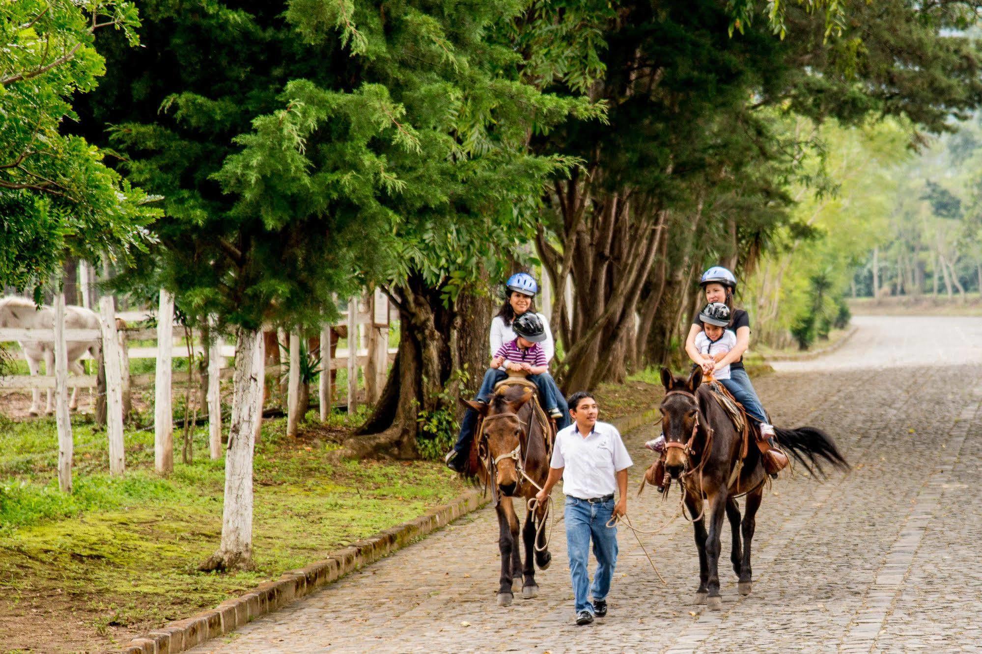 Filadelfia Coffee Resort & Tour Jocotenango Ngoại thất bức ảnh